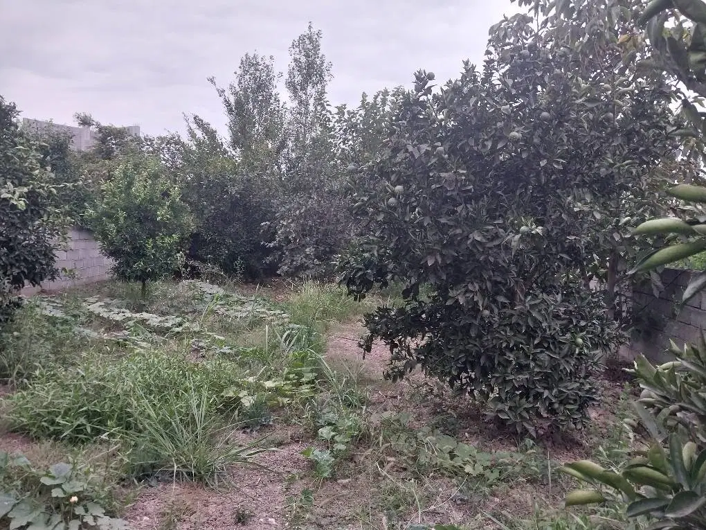 زمین روستایی با سند مسکونی