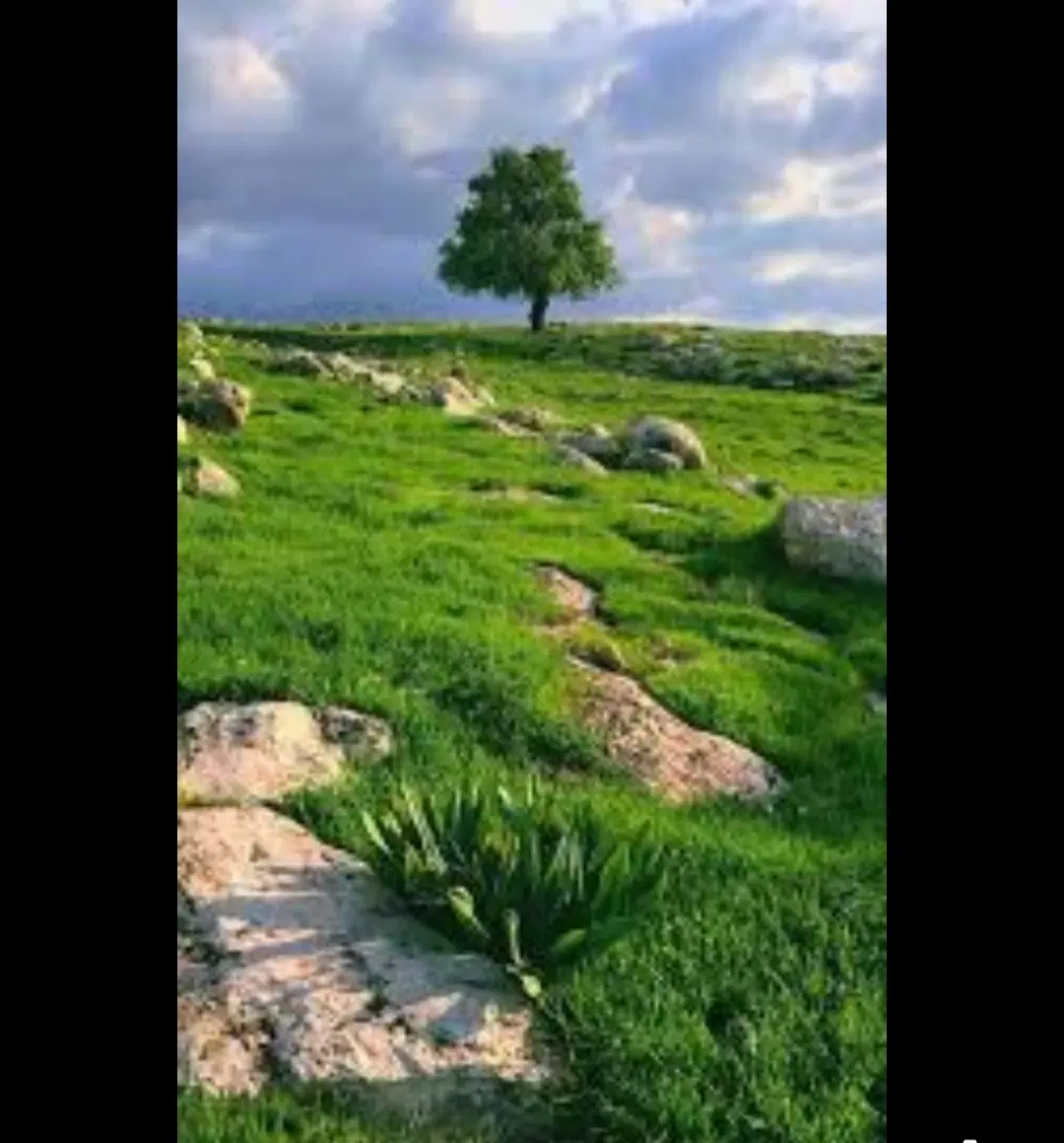 فروش زمین بهترین فرصت