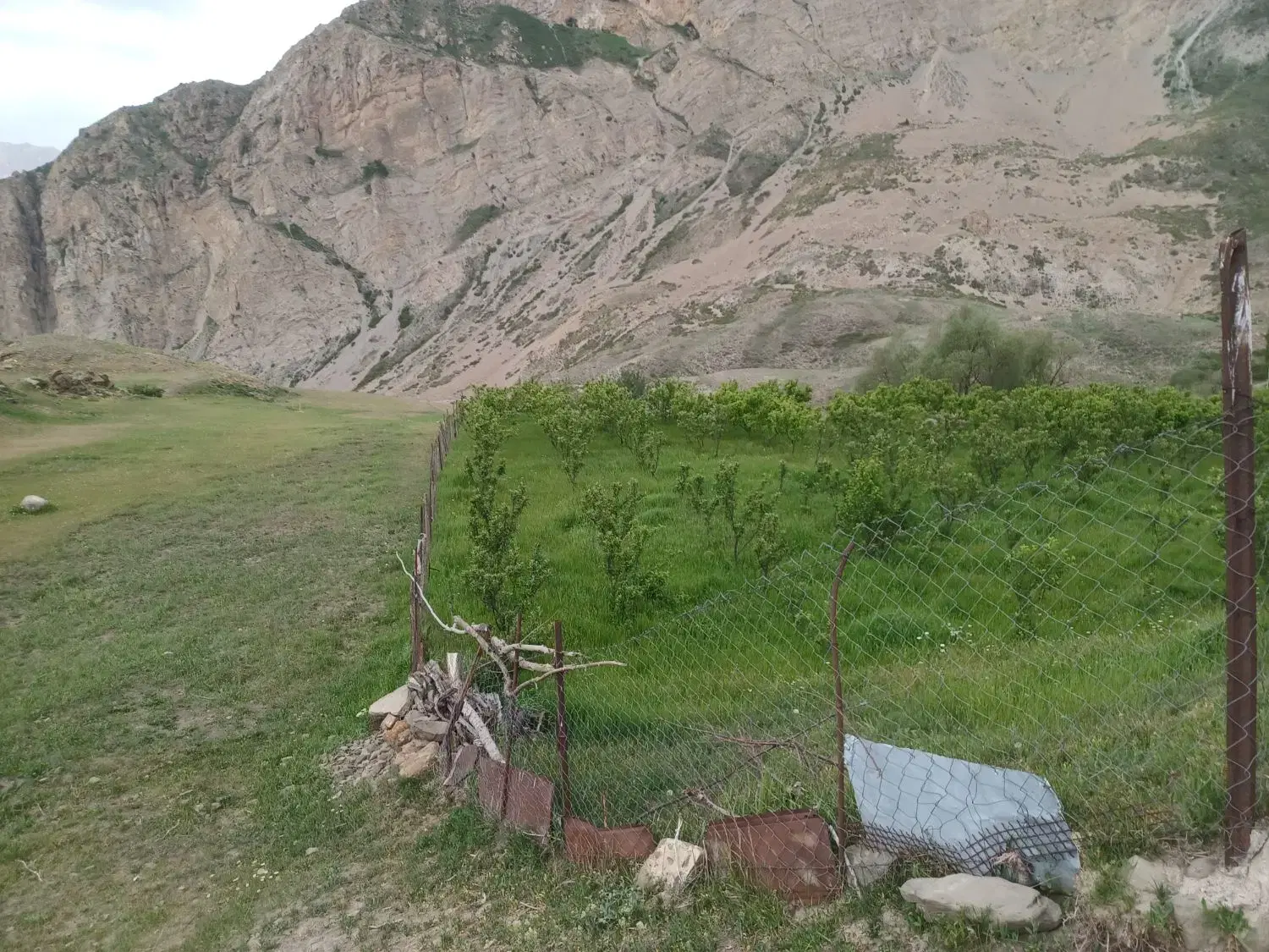 زمین ییلاقی