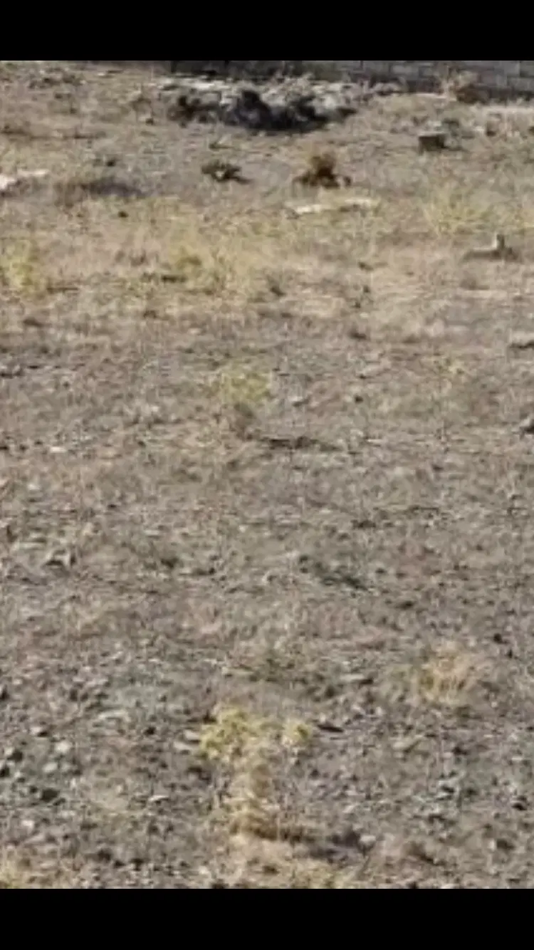 فروش زمین زراعی