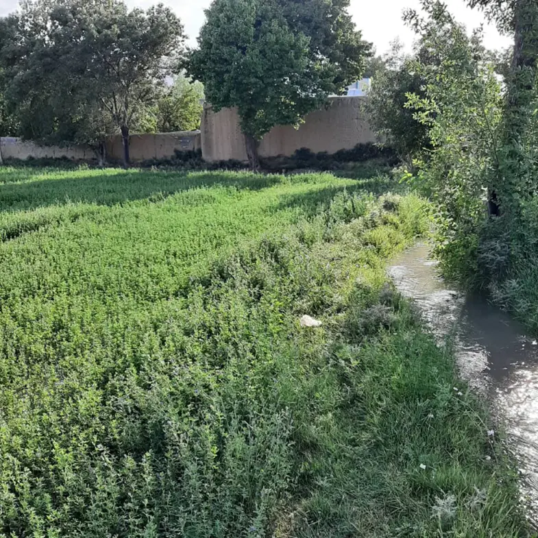 زمین ۱۱۶۱ متر، سند تک‌برگ + سهم آب سد