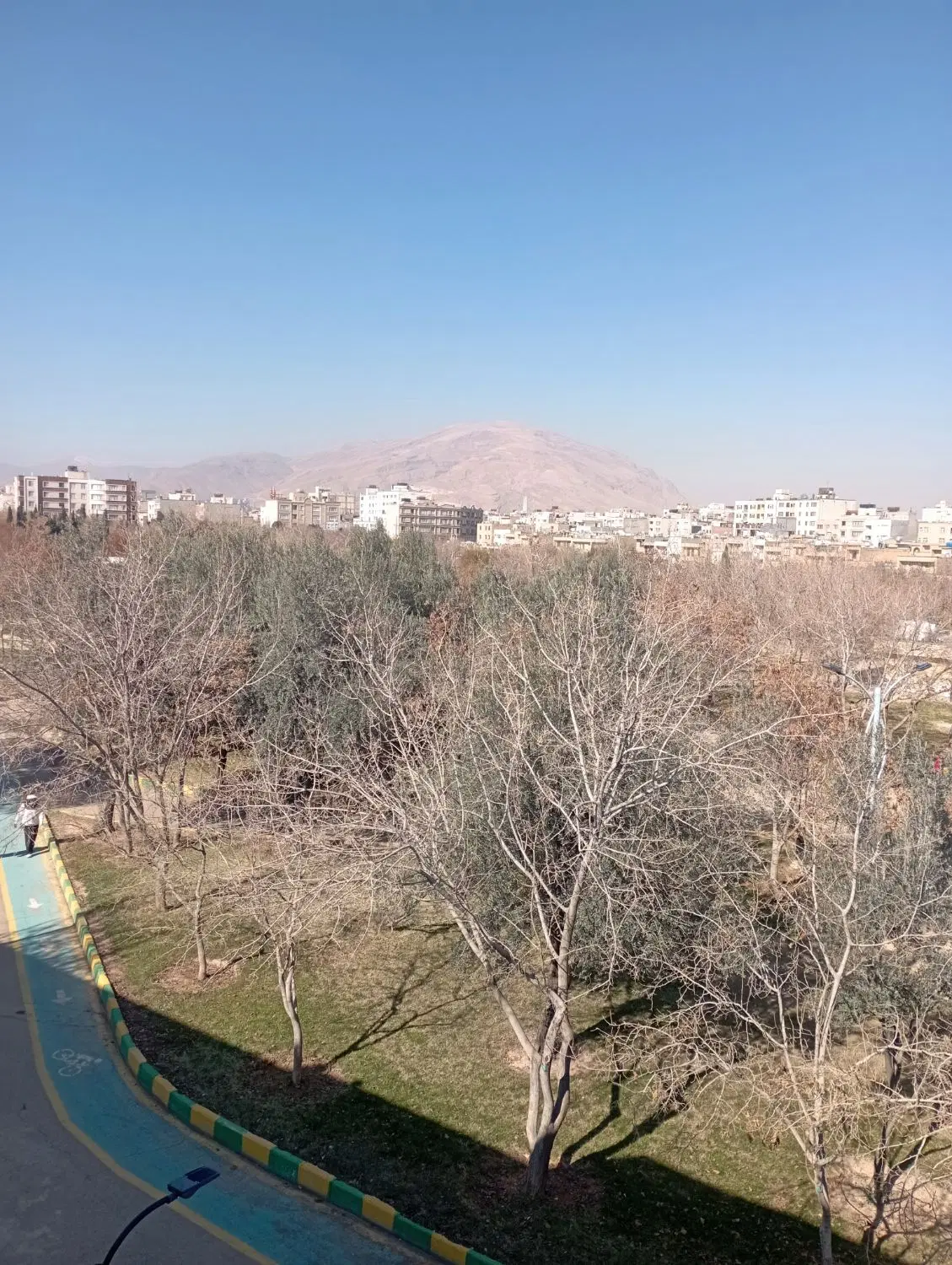 مشارکت در ساخت اسکلت