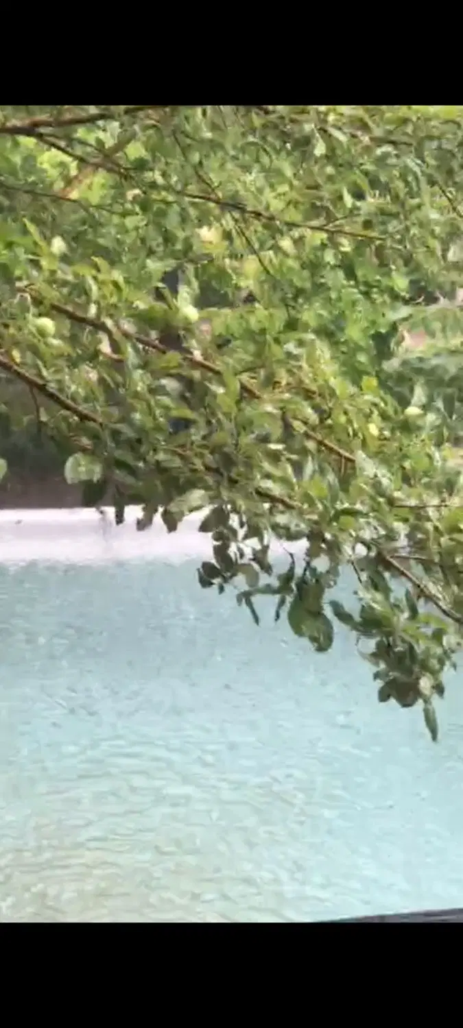 خونه باغ