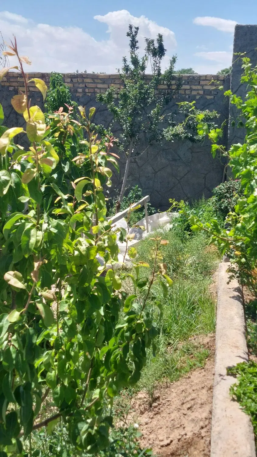 باغچه ۷۵۰ متری جنب بلوار جواداباد