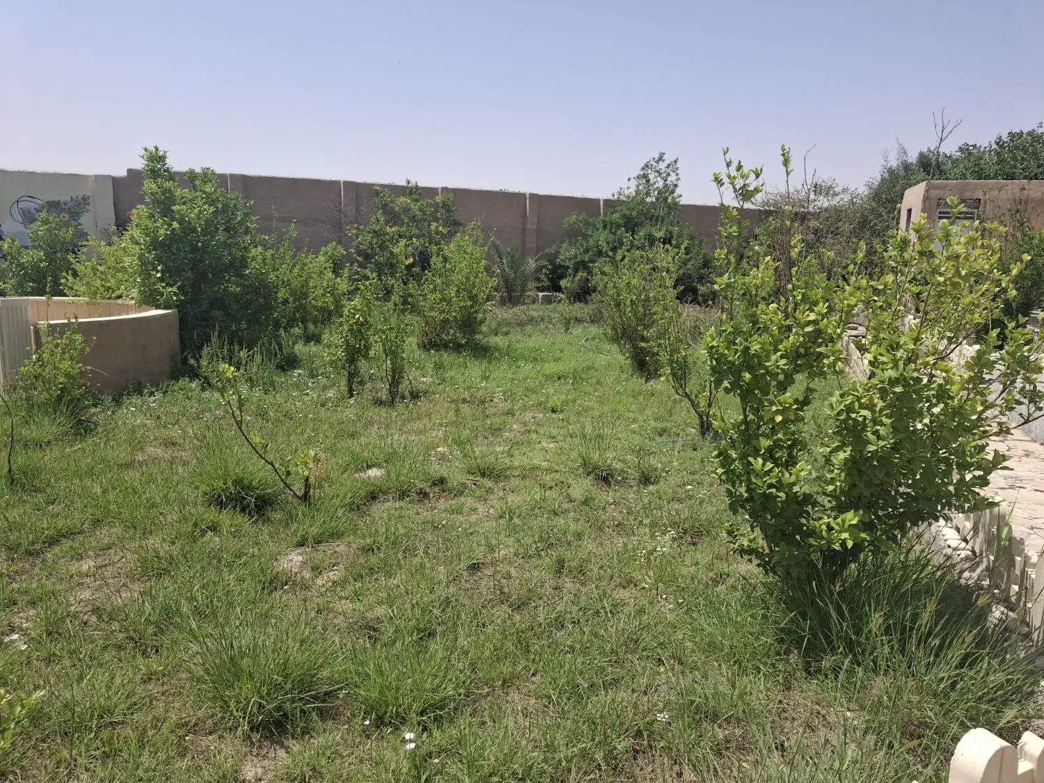باغ ویلا کمربندی به سمت تربار