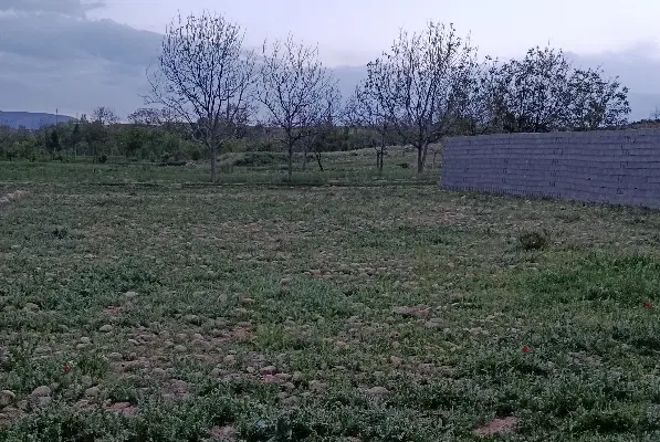 زمین ۱۵۰متری در صندل اباد