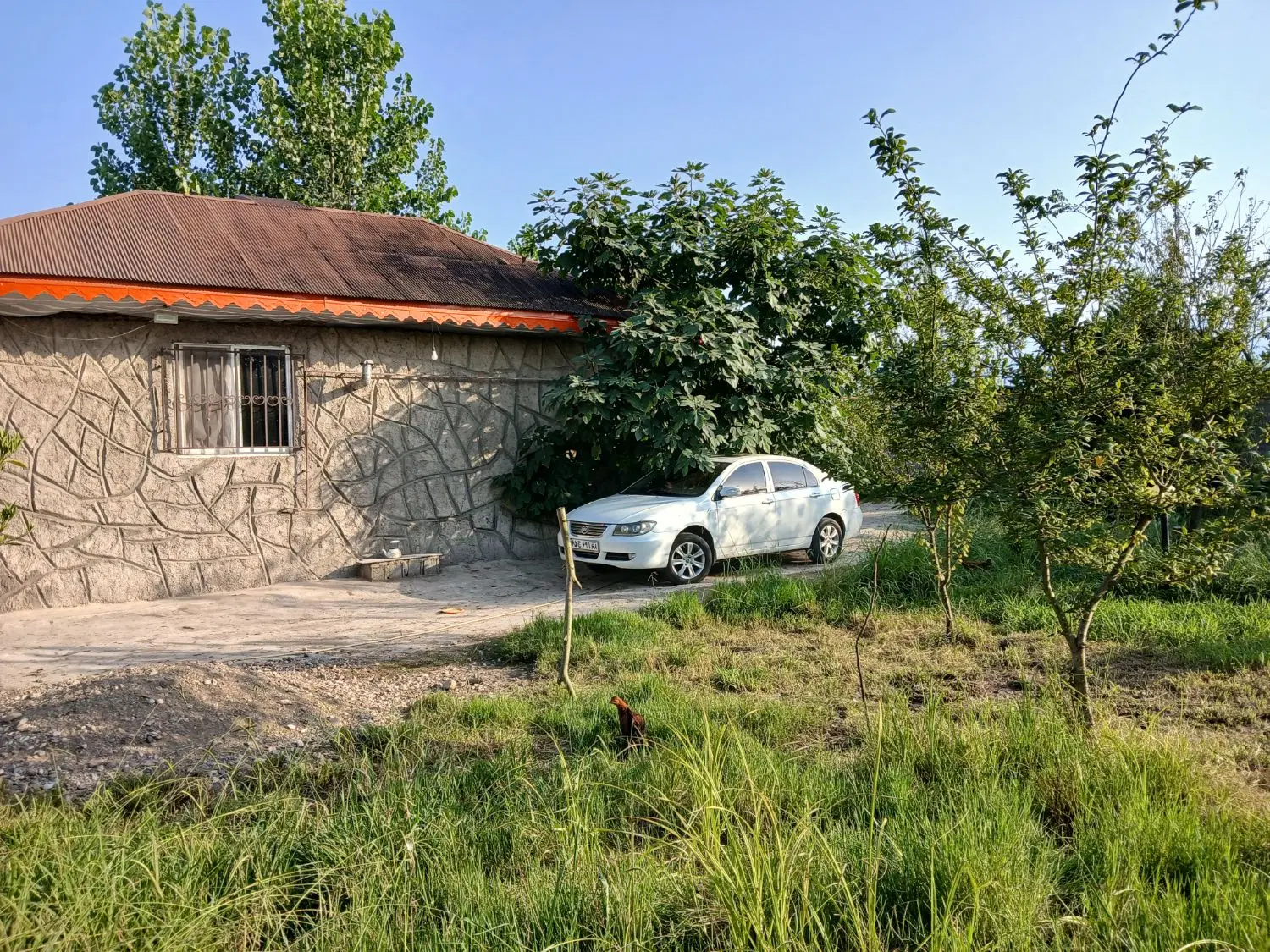 ویلای ۲۰۰۰ متری چهار دیواری