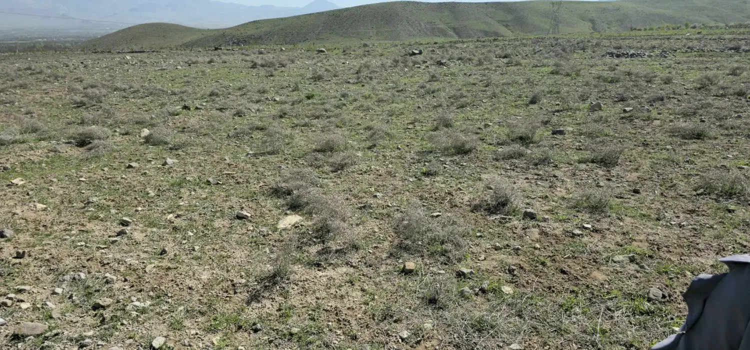 زمین دیده بان