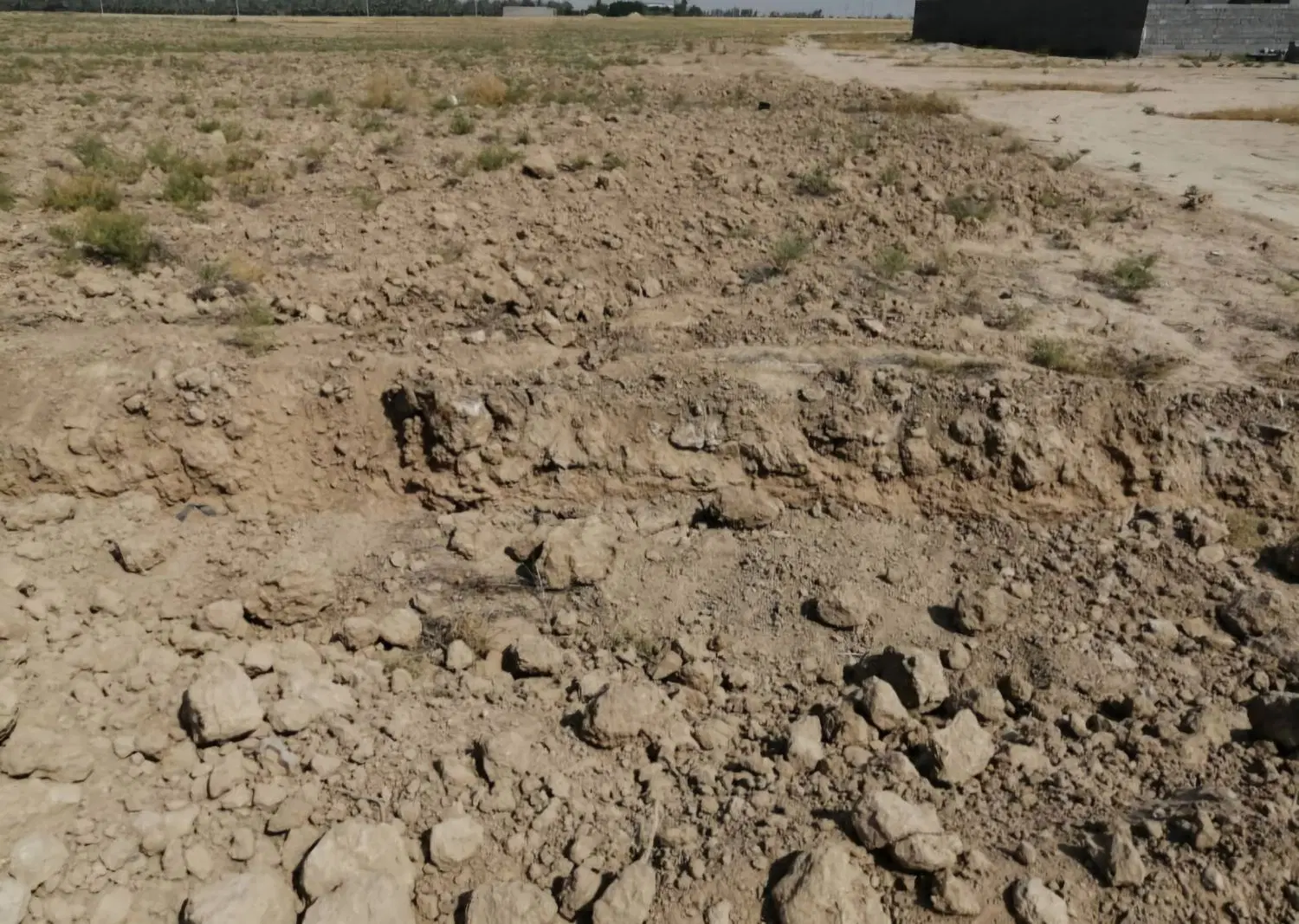 فروش زمین زراعی باغی