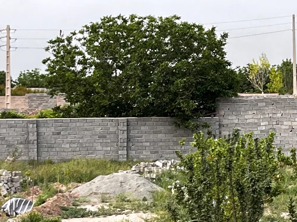 باغچه چهار دیواری شهریار،فردوسیه