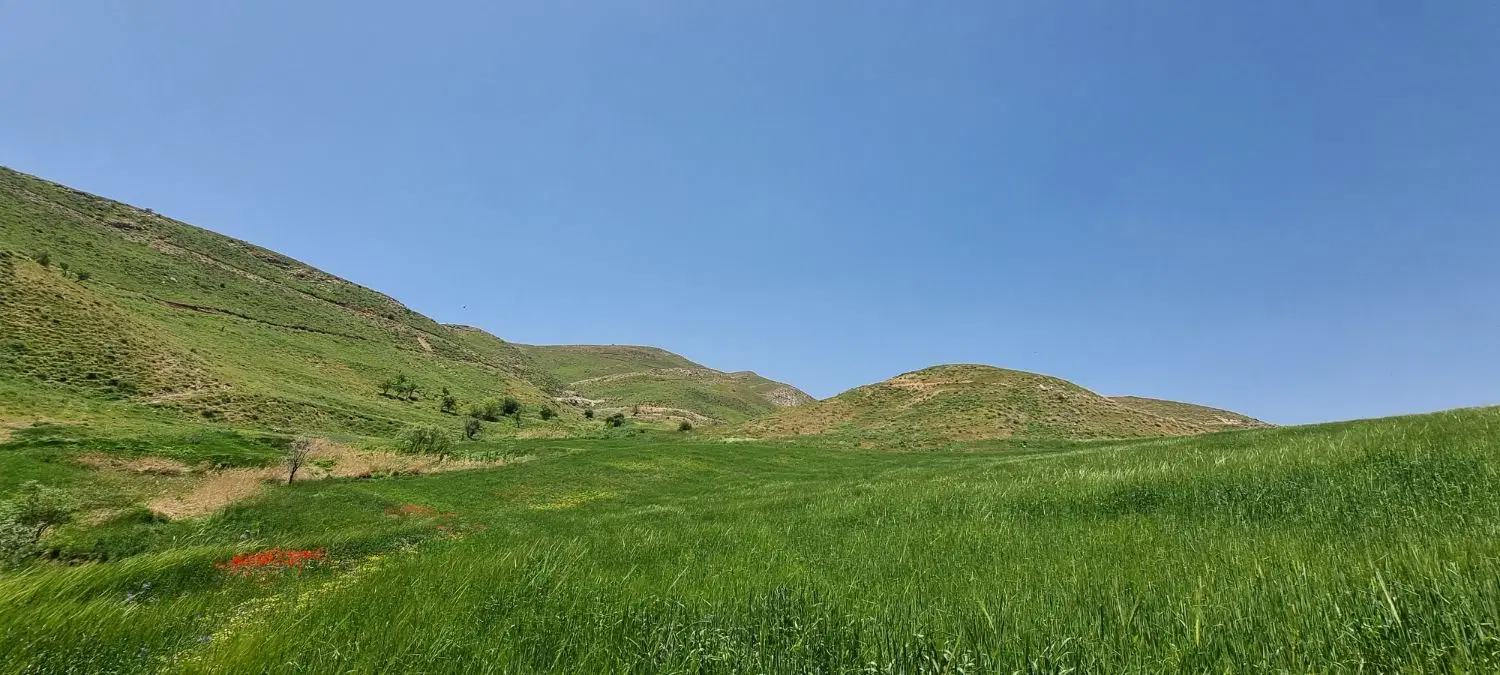 فروش مزرعه و زمین کشاورزی
