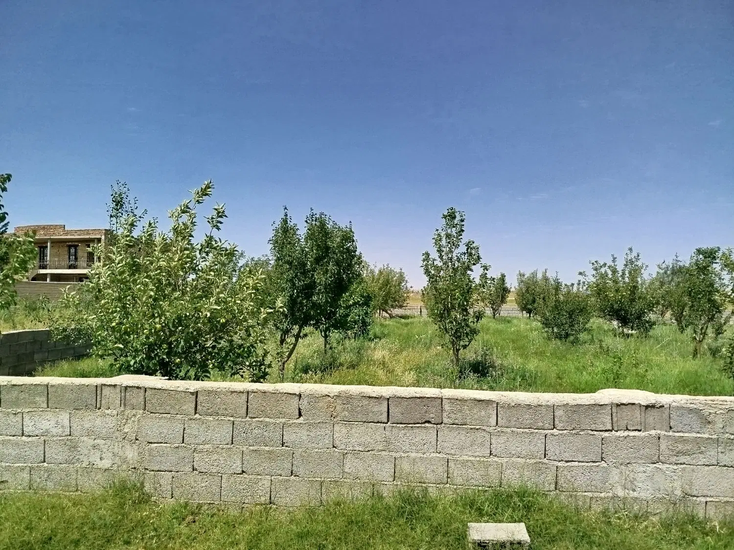 فروش باغ متراژ 1700
