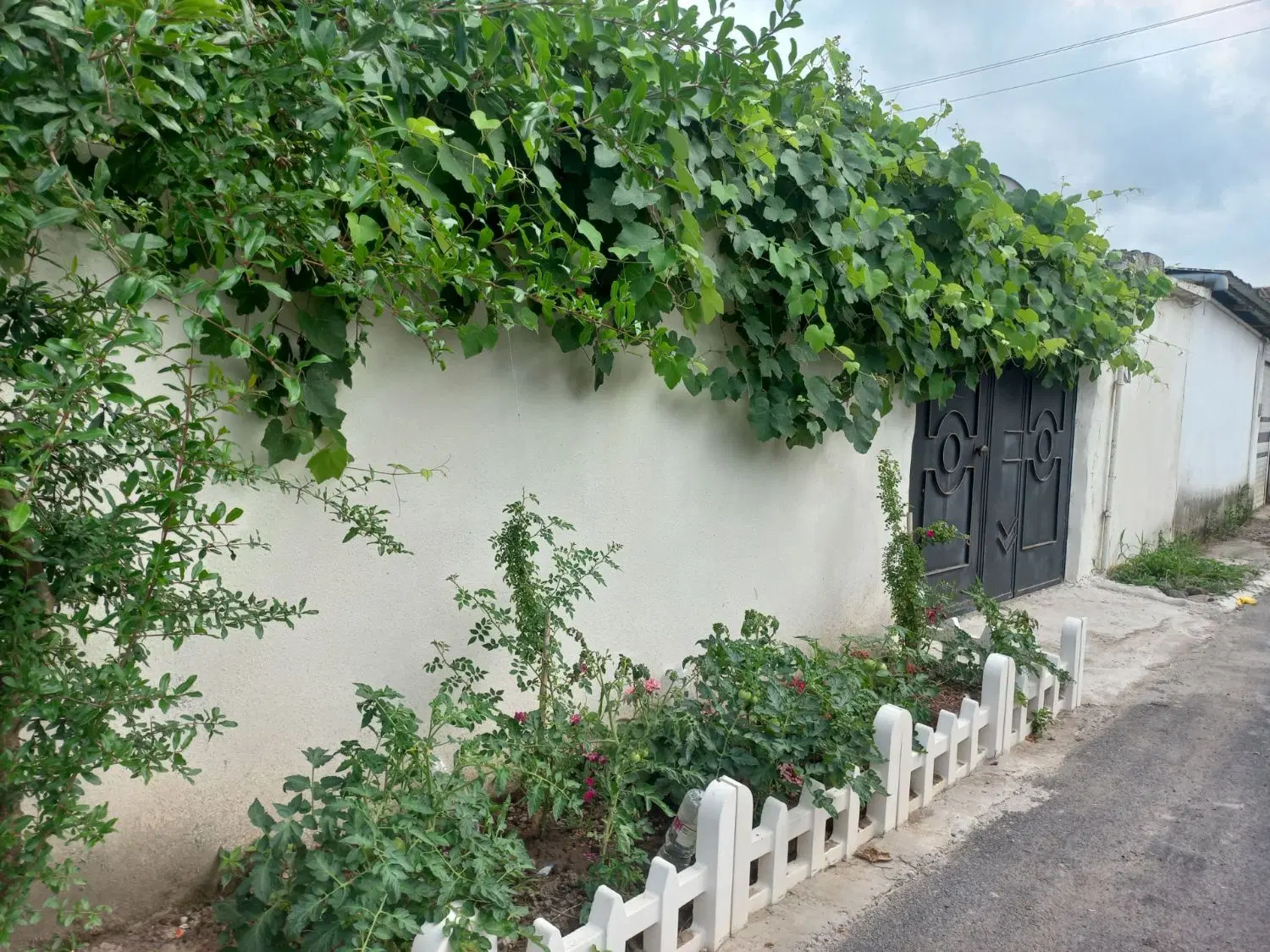 خانه ویلایی در شهر سنگر