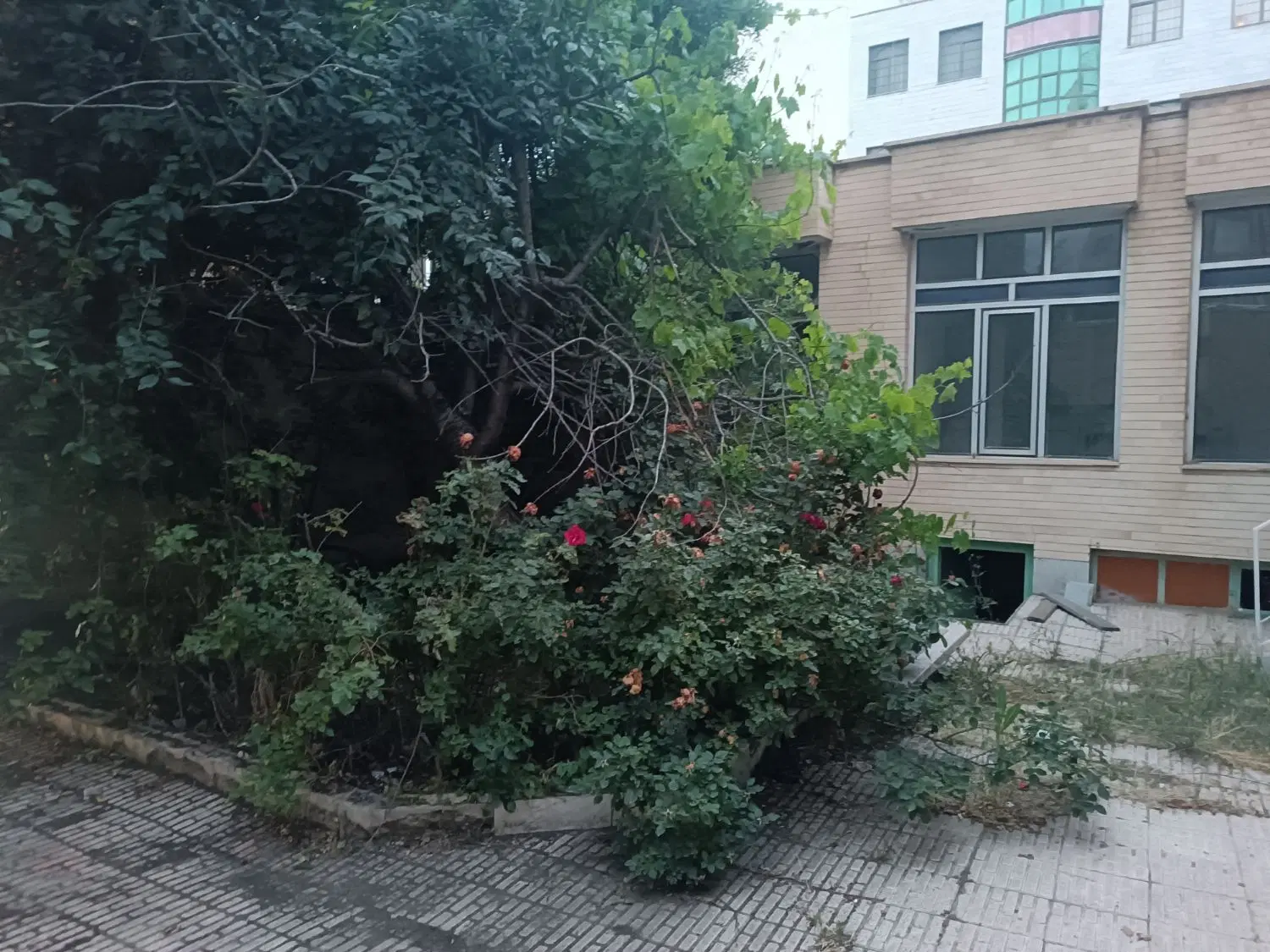 اجاره ویلایی 300متر اعیانی 200متر جهت کافه
