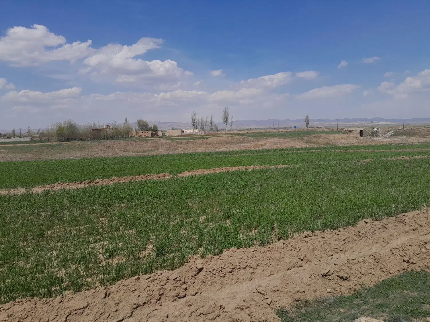 زمین نزدیک ۴ هکتار