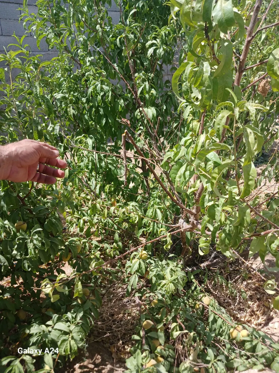 فروش زمین