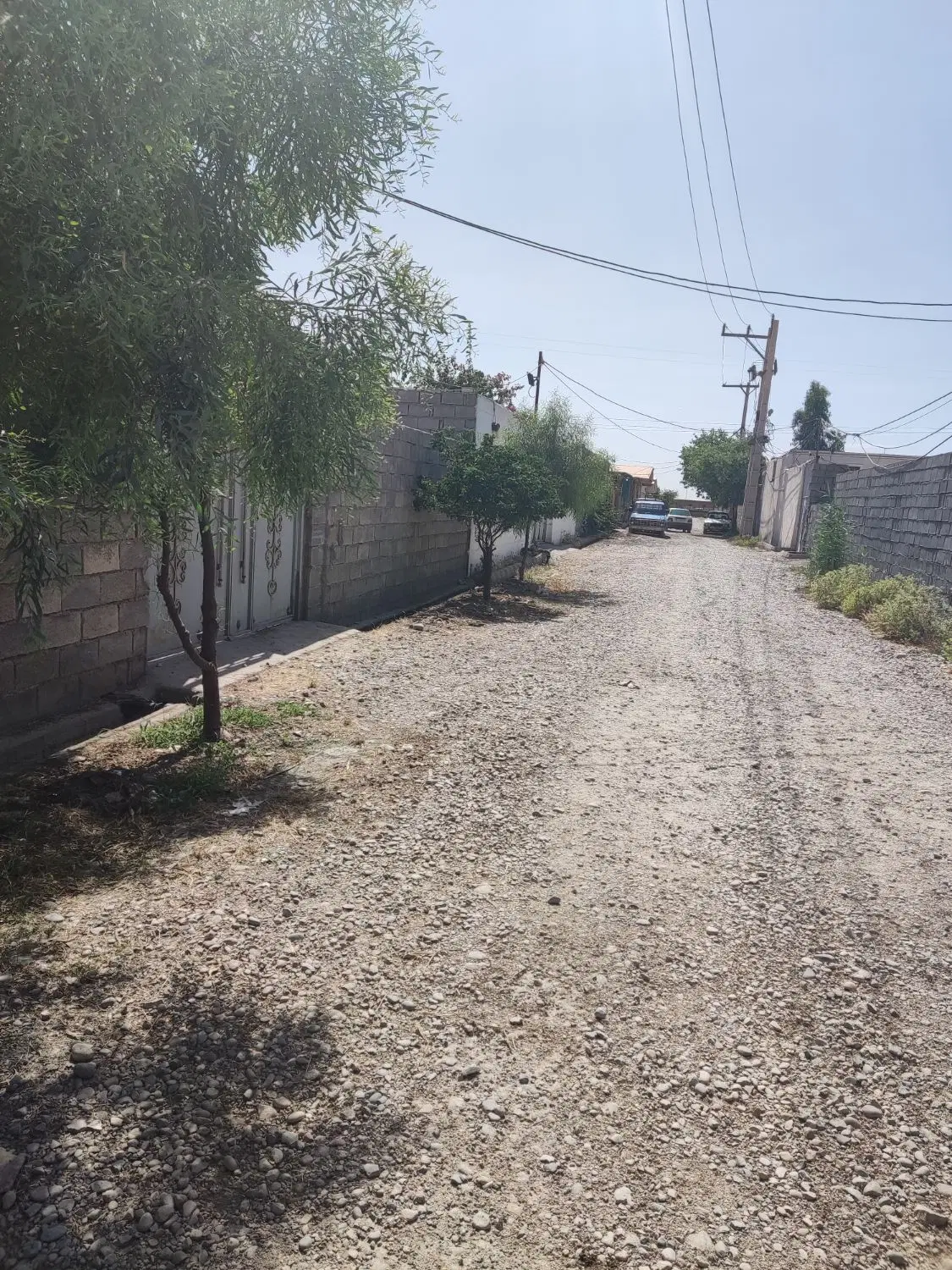 باغچه سیاه منصور