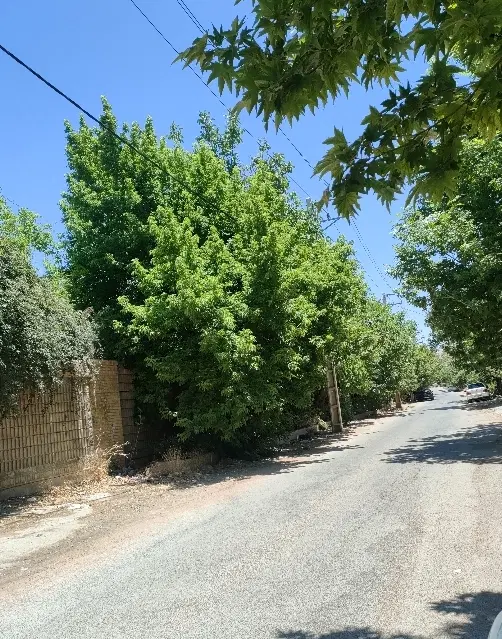 زمین باغشهری