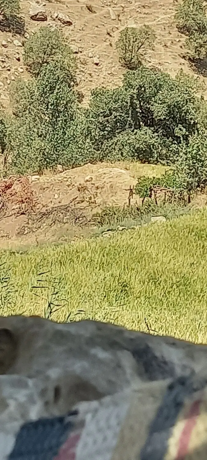 زمین تجاری مسکونی