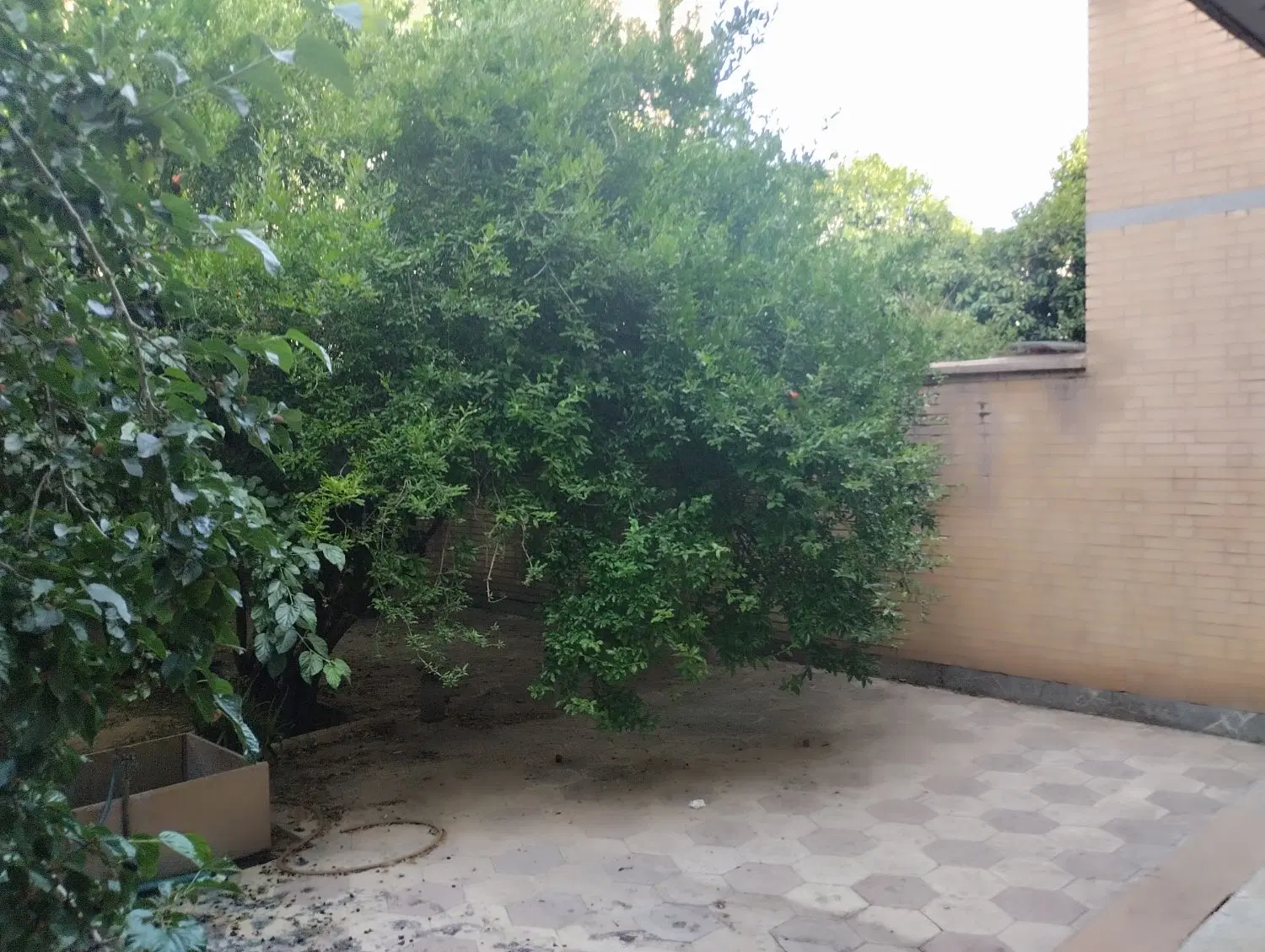 فروش ویلایی ۴۸۰متر_نگهبانی دار_قصردشت