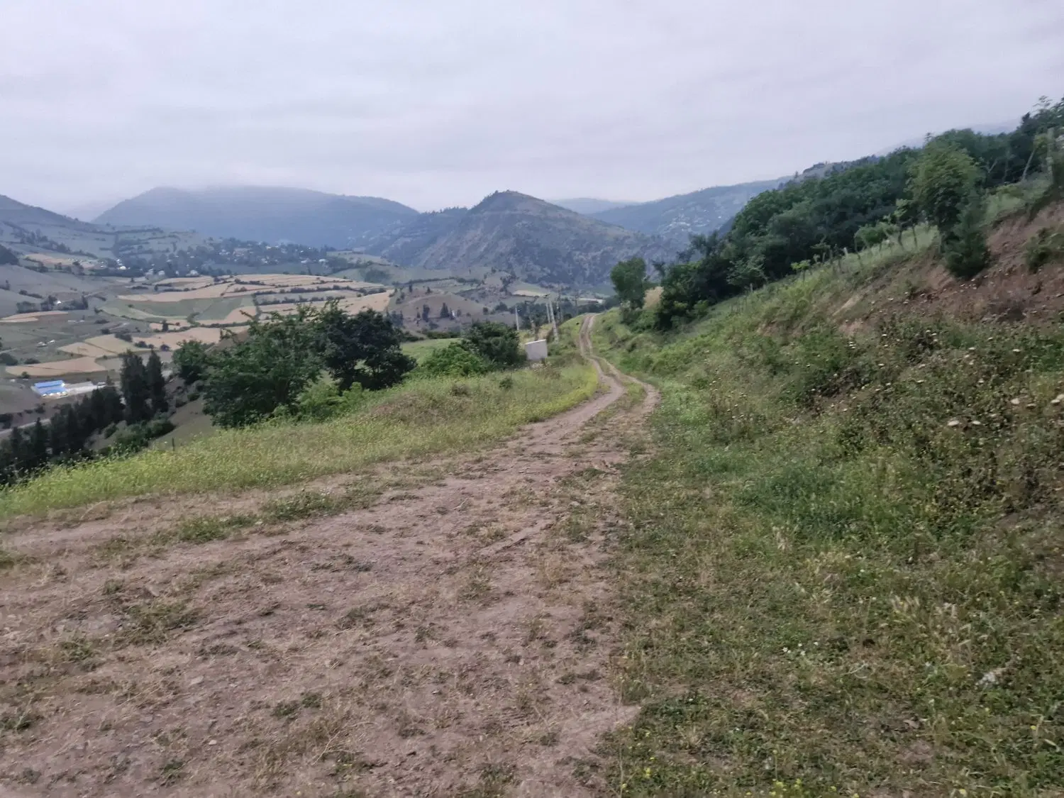زمین باغی دارای سند تک برگ میباشد