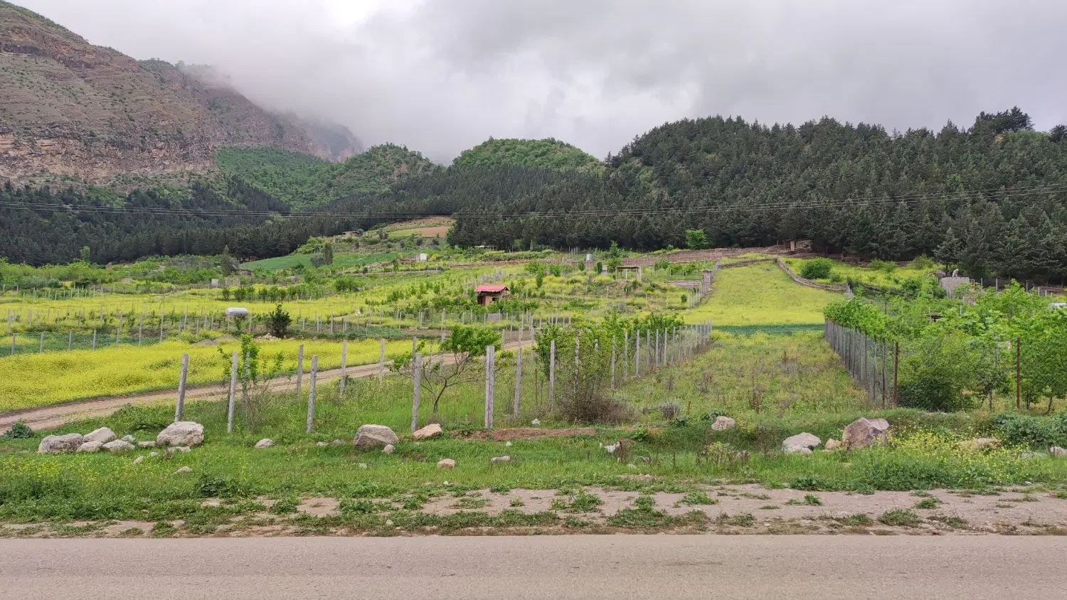 زمین باغی