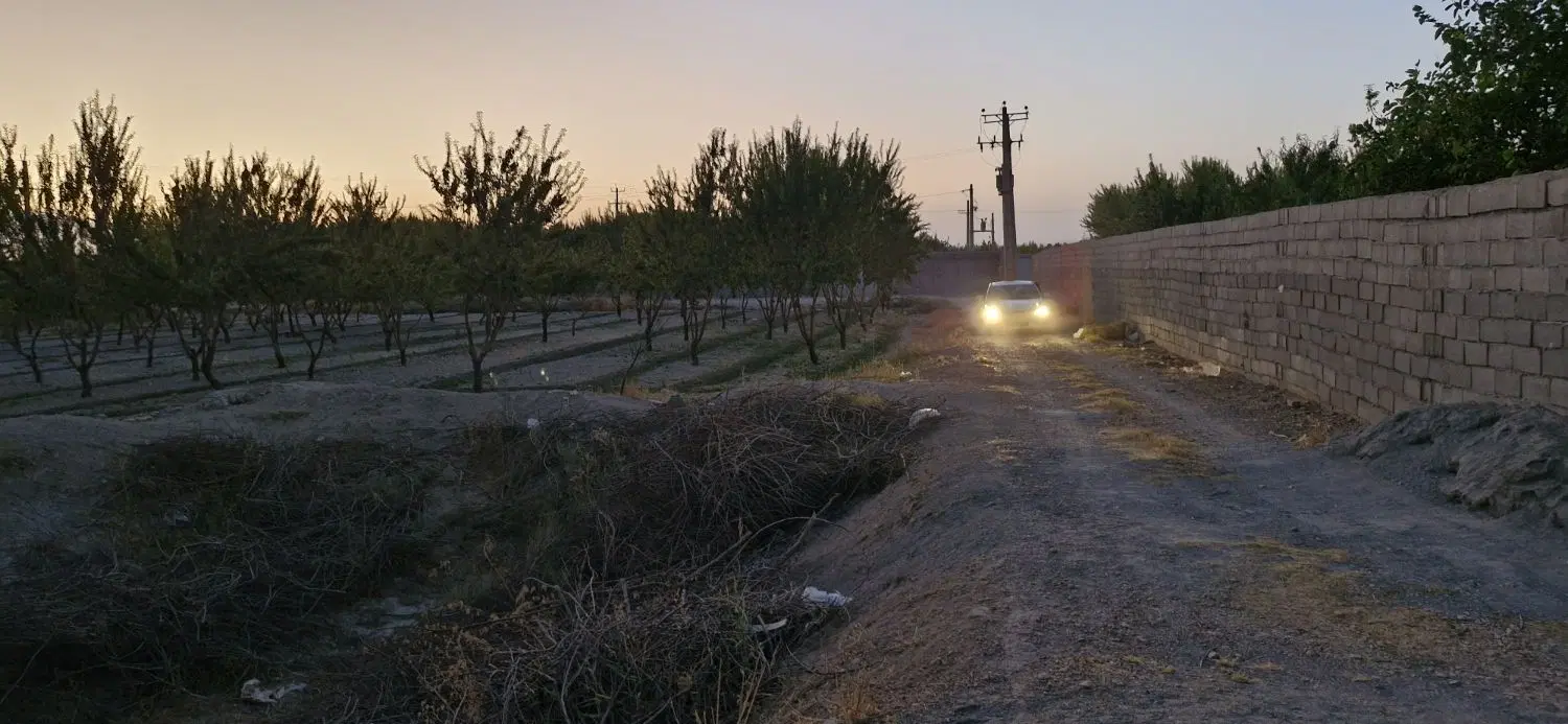 باغ بادام