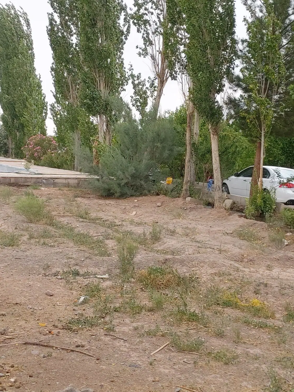 زمین تجاری بر بلوار تختی