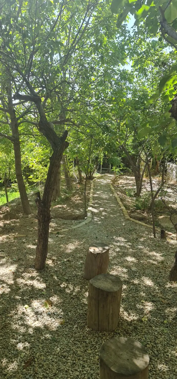سوئیت نقلی در باغ زیبا