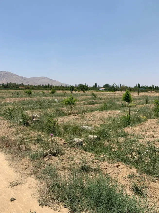 باغ جاده تهران