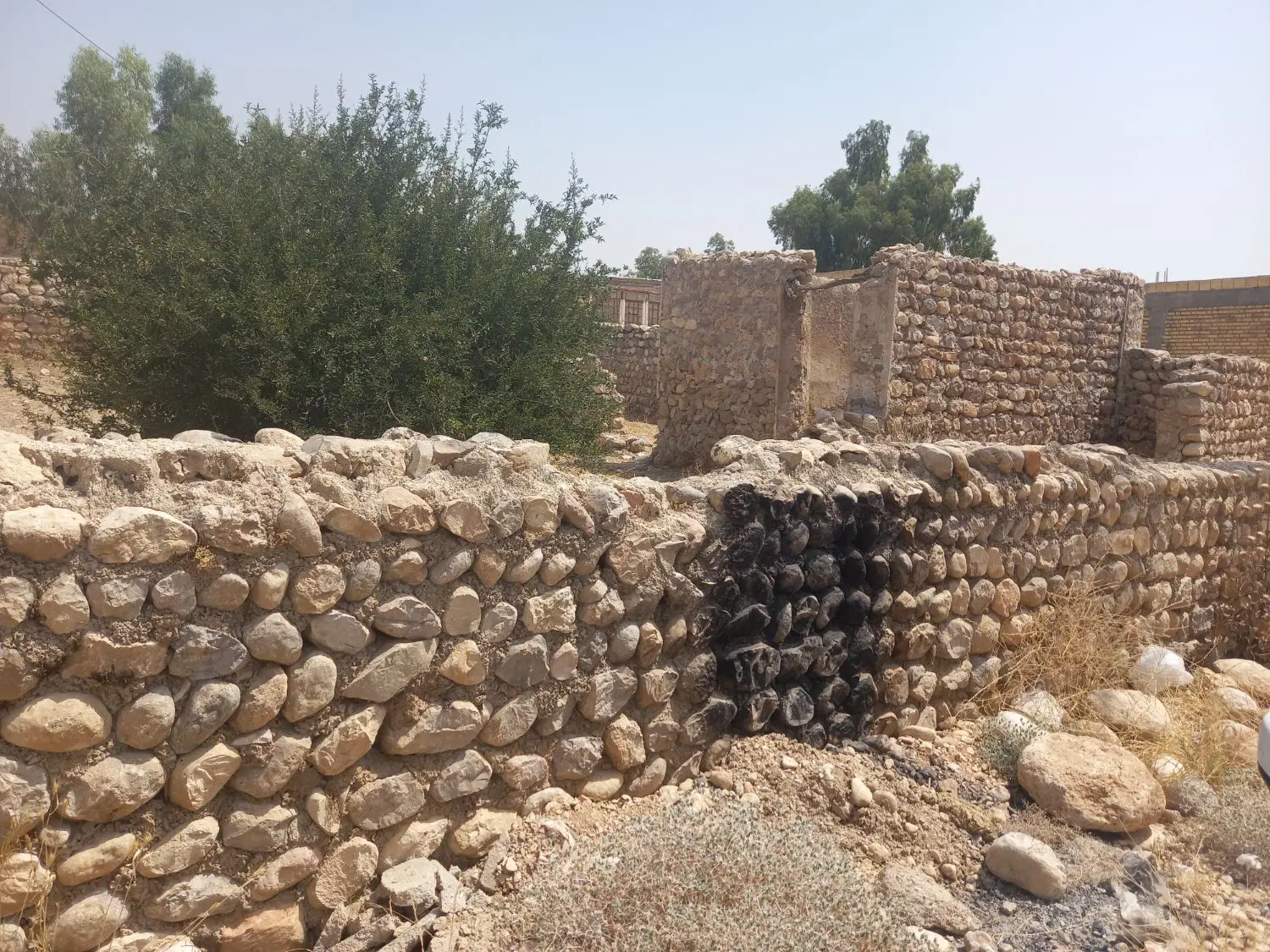 فروش یک قطعه زمین ۳۶۴مترمربع روستای نوترکی غریبی