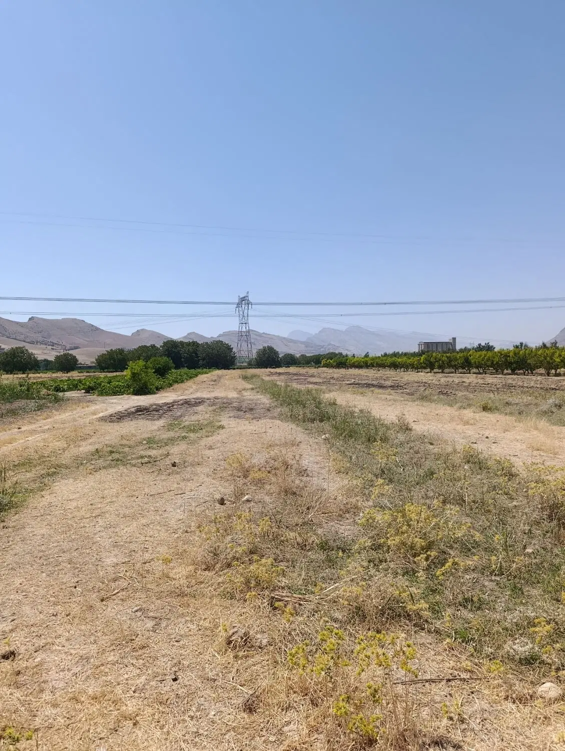 فروش زمین کشاورزی آبی روستای حسن آباد