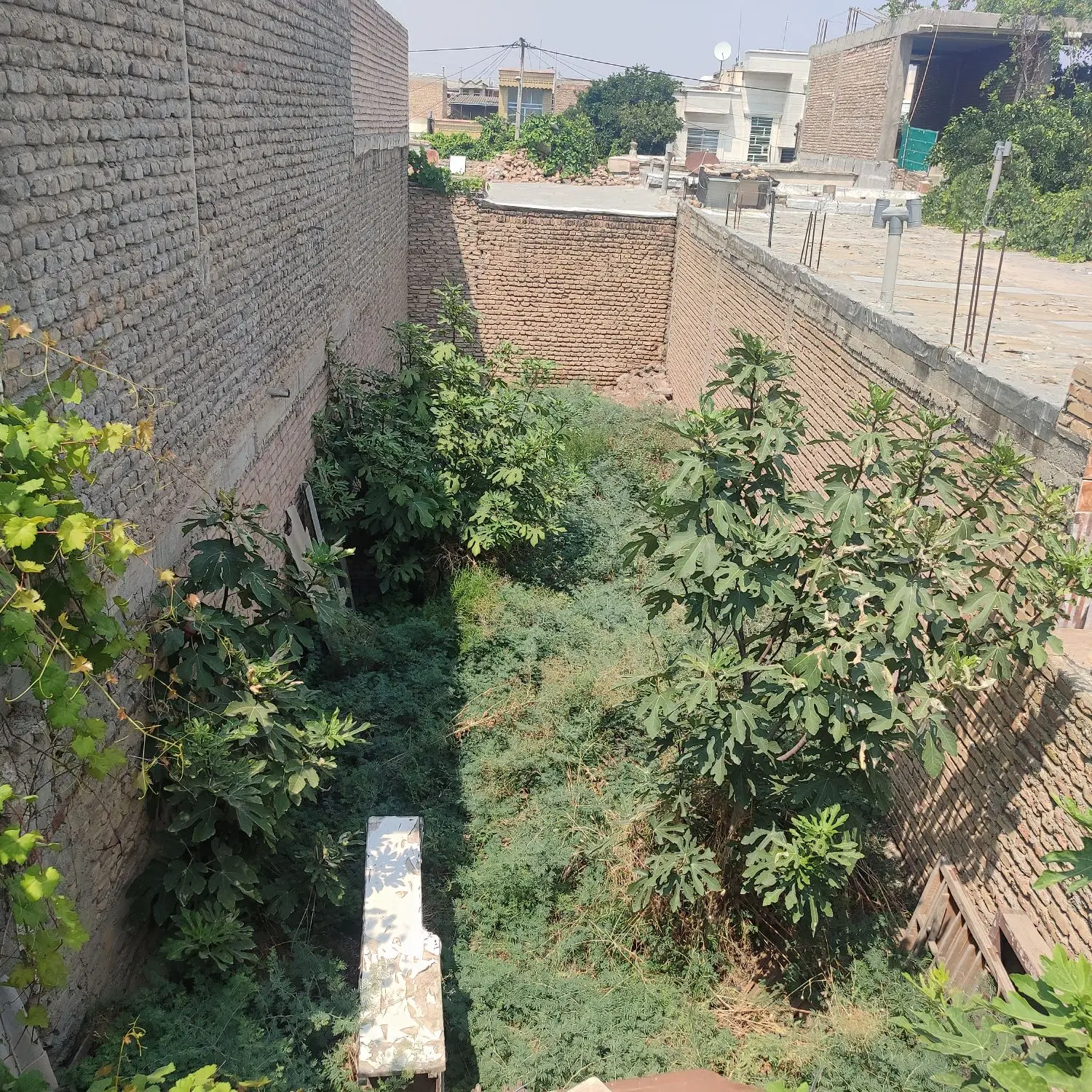 زمین مسکونی داخل بافت