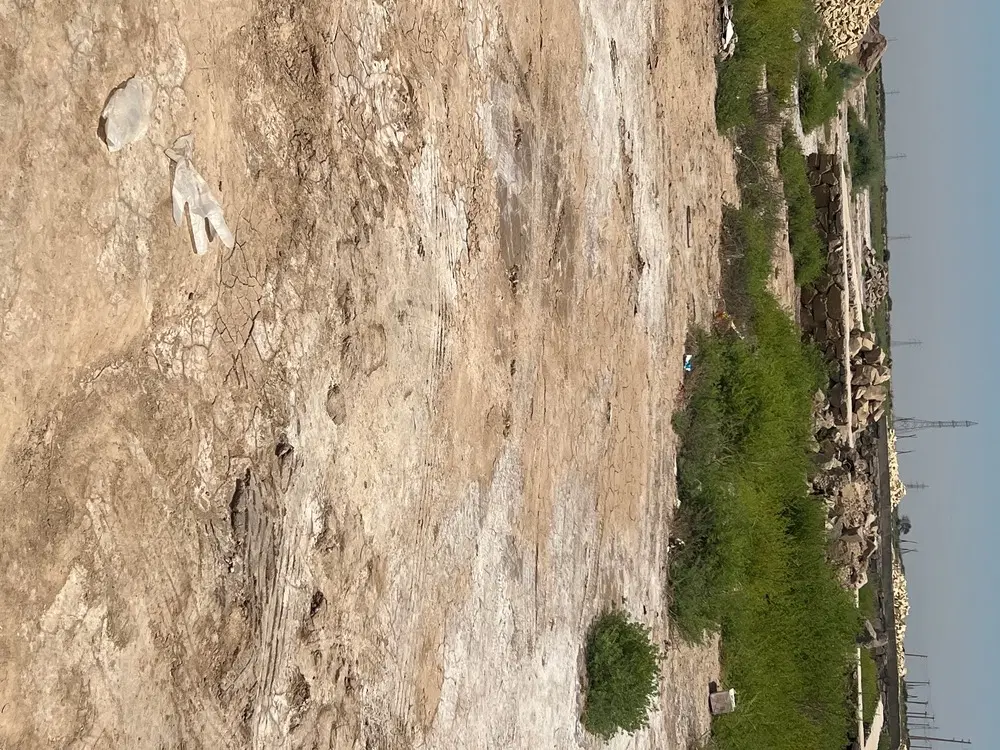 زمین درشهرستان هویزه