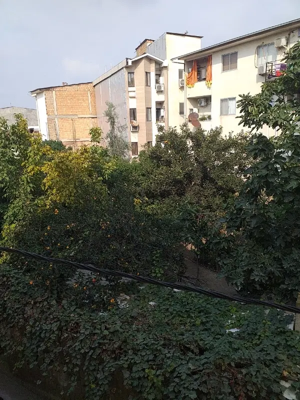 خانه ملل