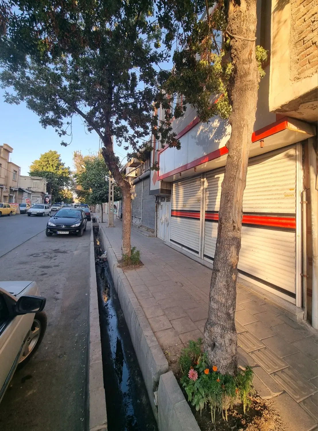 مغاز و مسکونی تجاری