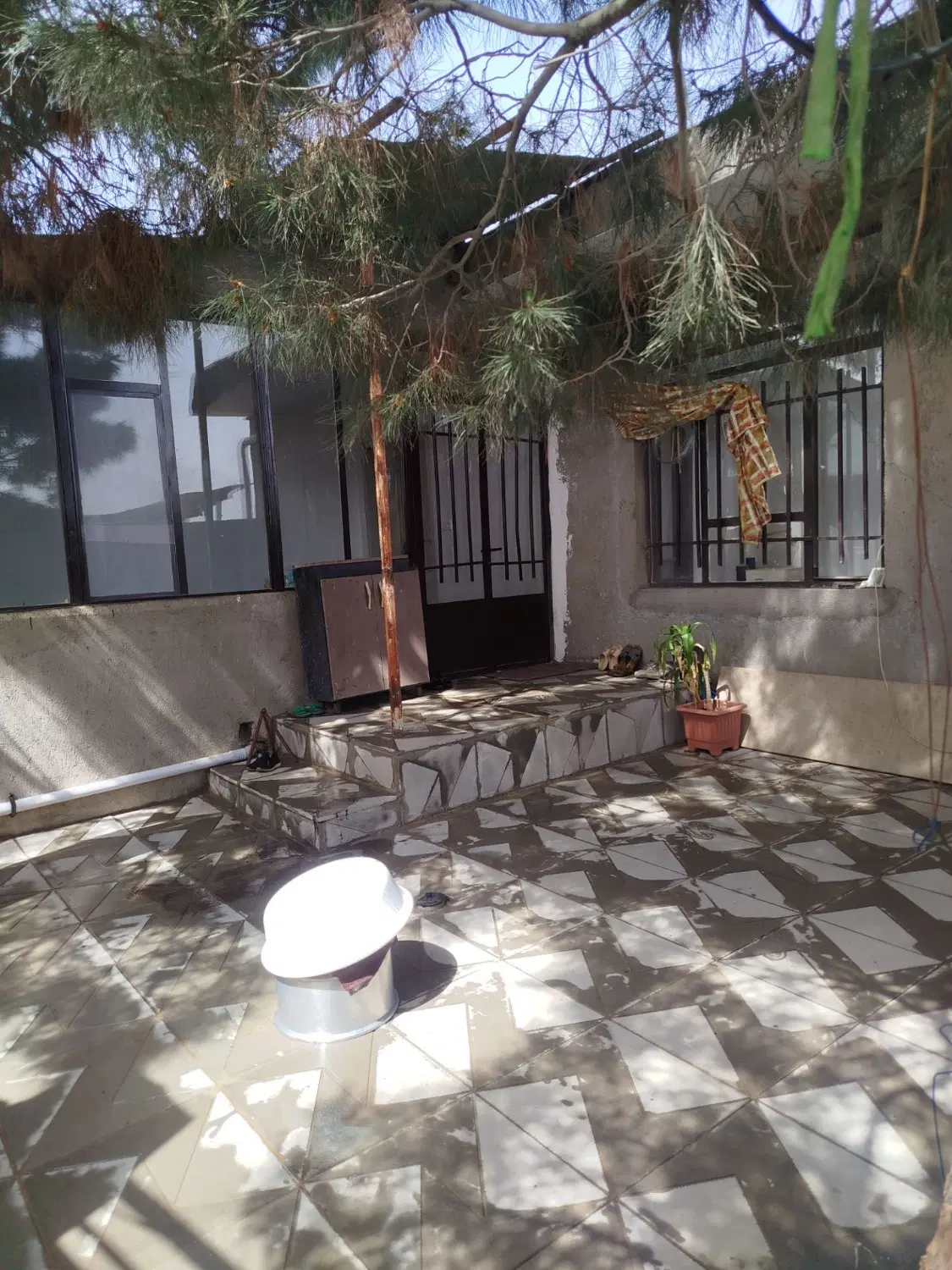 گاوداری روستای جیلو