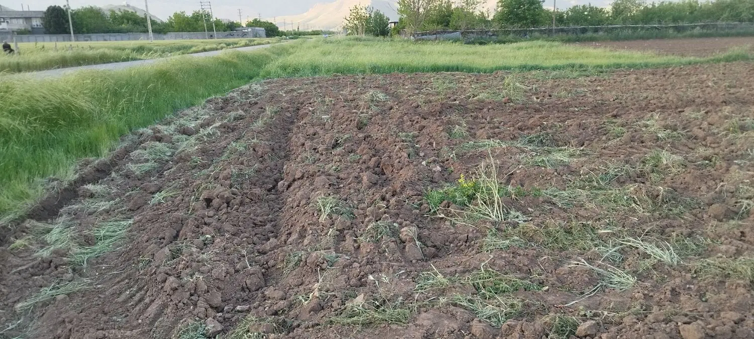 فروش زمین گلخانه