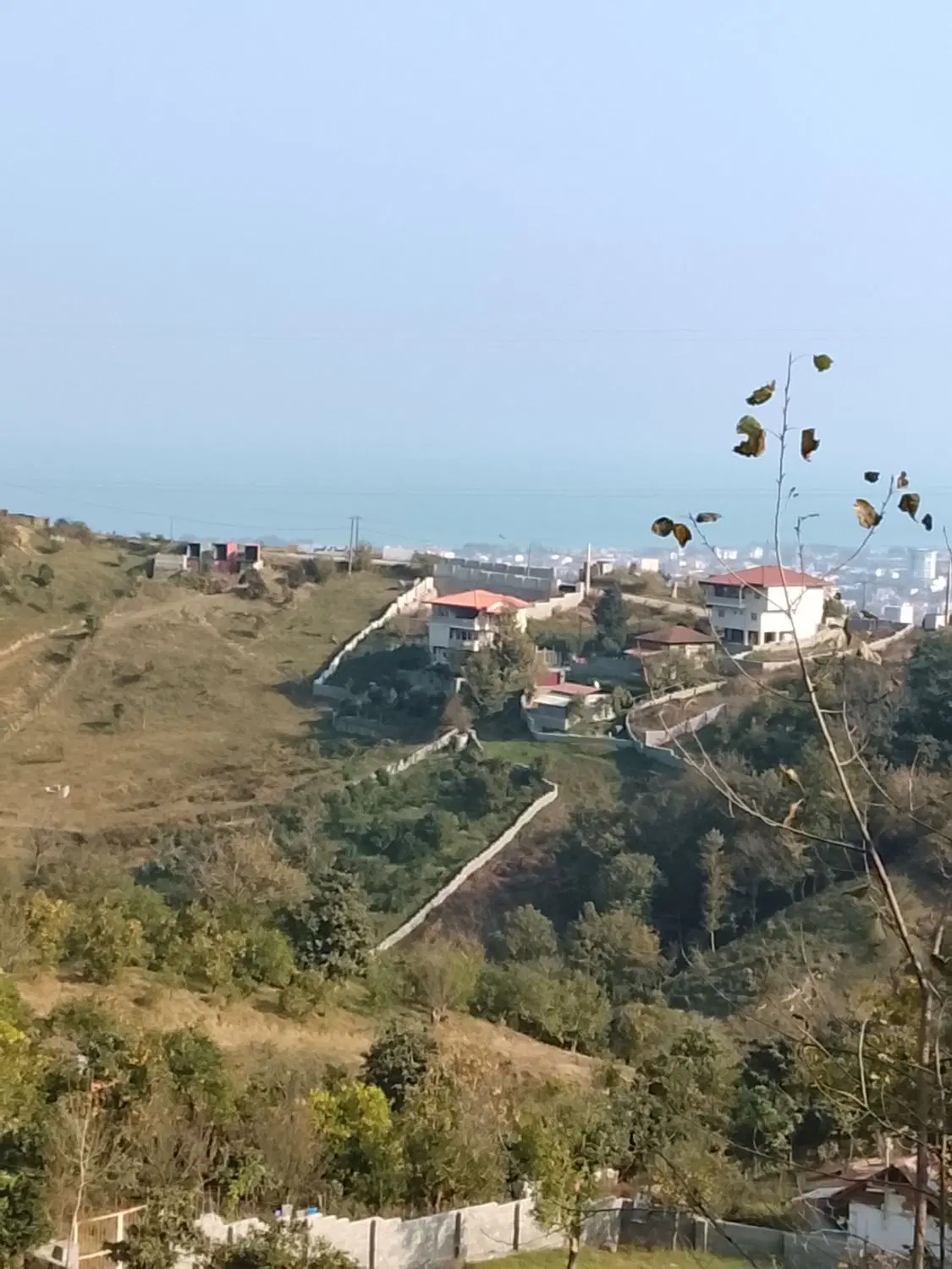 زمین