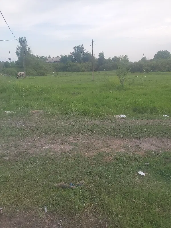 زمین مسکونی