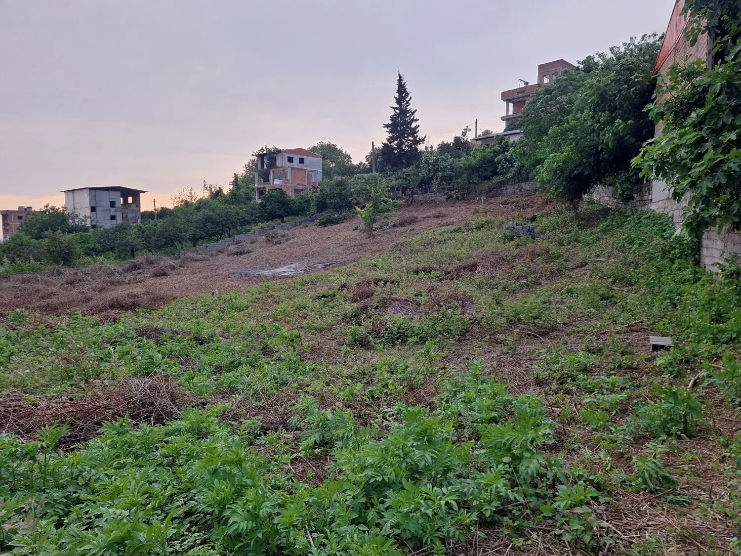 فروش زمین