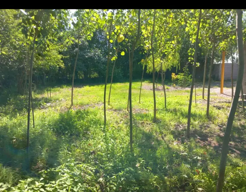 زمین ۲۰۰ متری دارای کاربری  روستای بیجارخاله