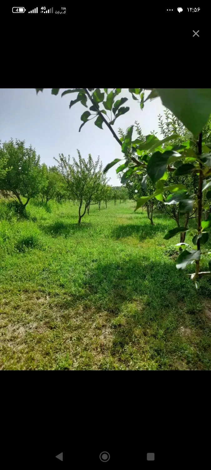 باغ در جاده تهران روستای دیزج آباد