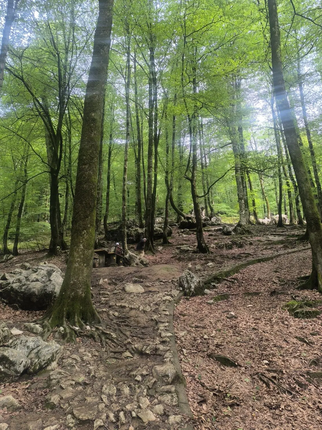 حصار ویلایی