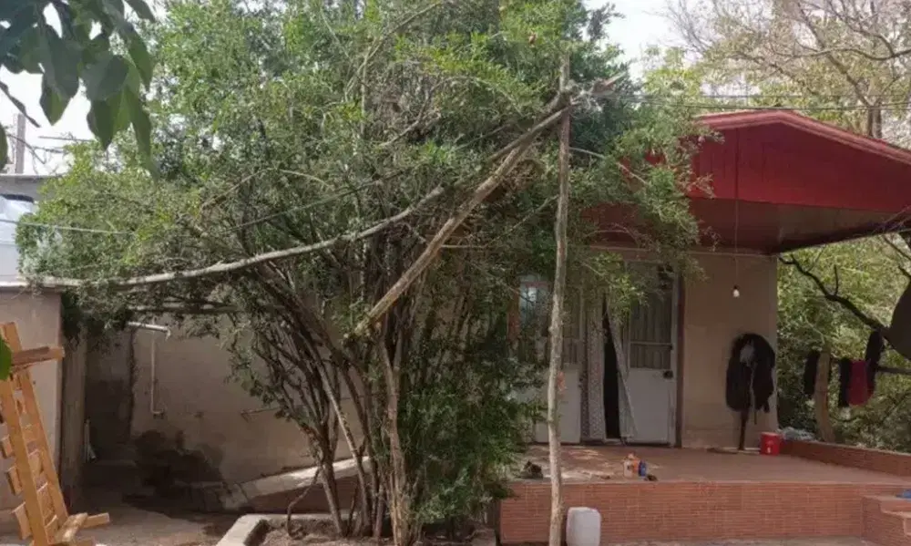 خانه باغ سیرچ 937مترمربع