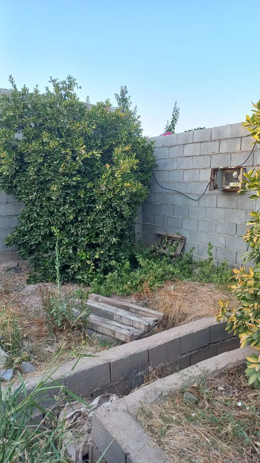 فروش ۱۴۴۰ متری باغ