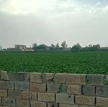 ۳۰۰۰ زمین تهراندشت