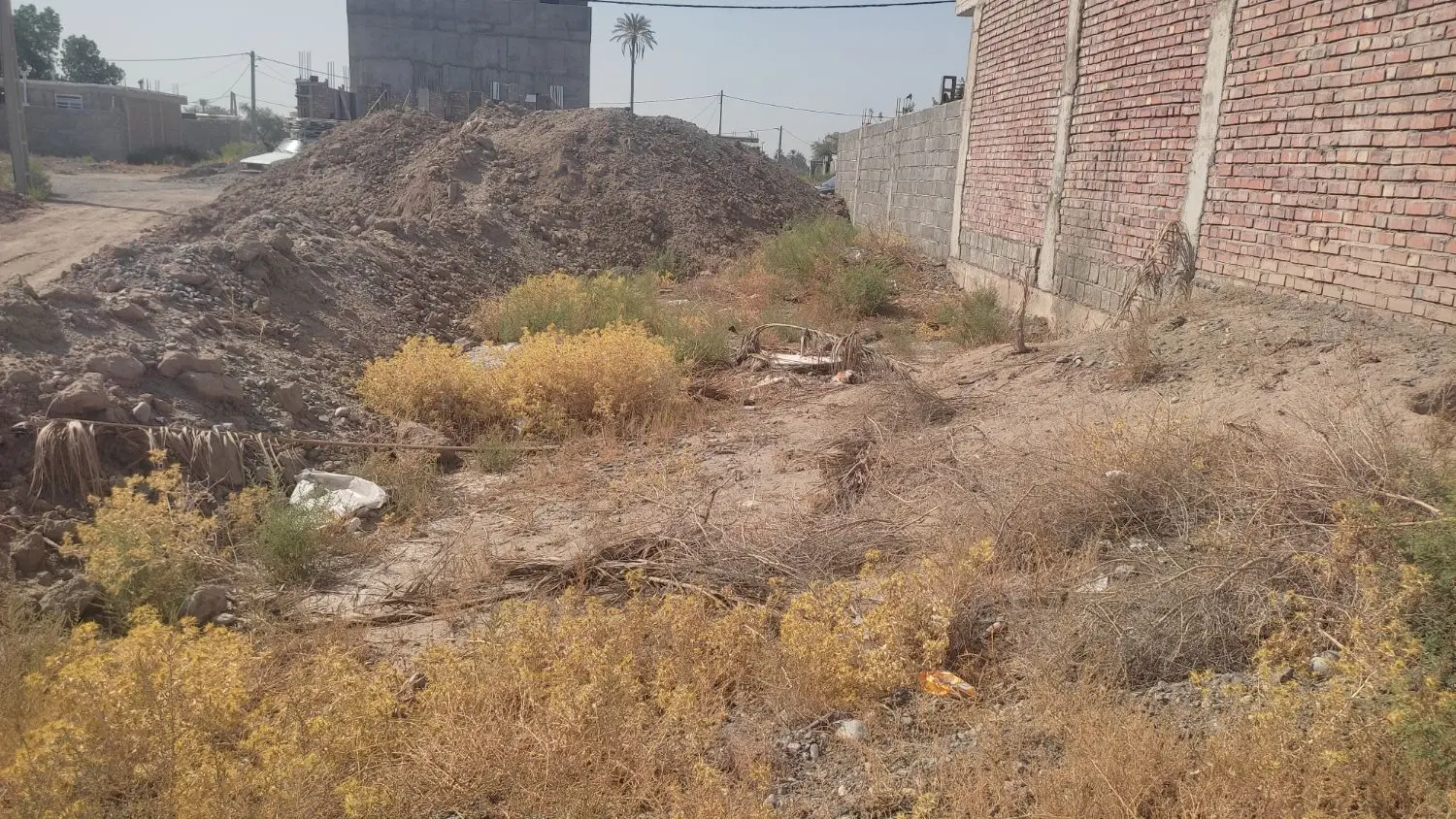 فروش زمین 10 قصب