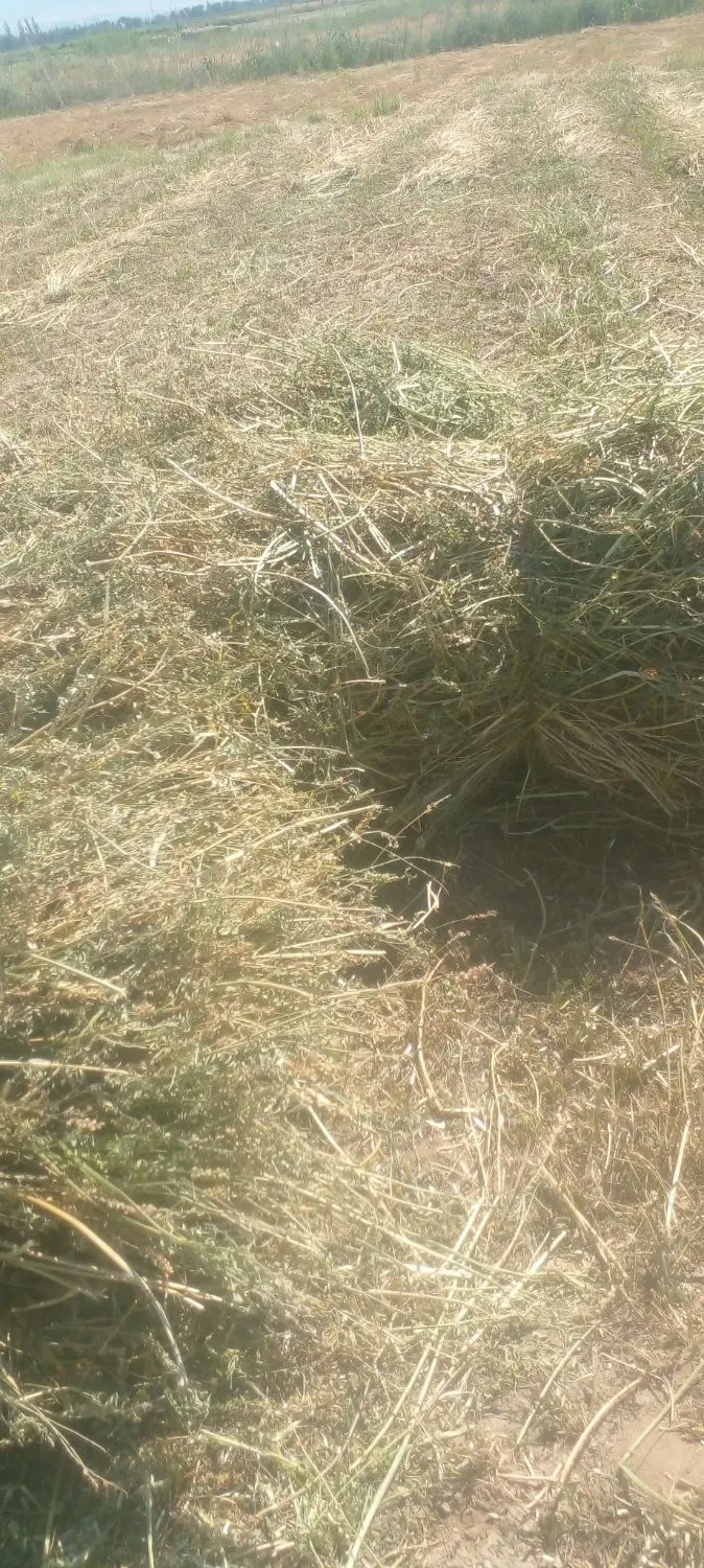 60باغ دستی بابت فروشی با نقدی
