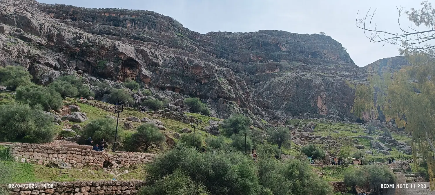 زمین فروشی